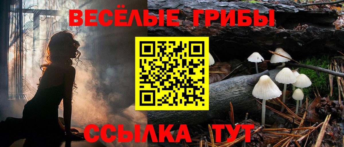 Нальчик  Галлюциногенные грибы мухоморы  Вход с VPN 