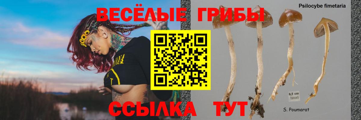 Галлюциногенные грибы Magic Shrooms Нальчик